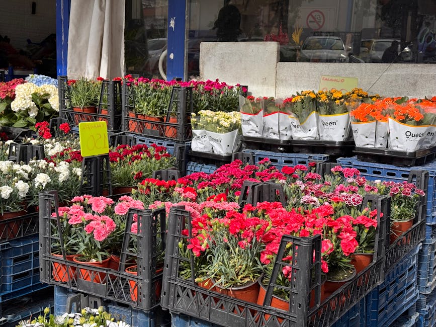 A display of vibrant potted flowers arranged in black plastic crates outside a florist shop, including pink and red carnations, white and yellow daisies, and orange marigolds, with some greenery visib