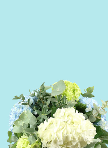 Same day Flowers Bethnal Green